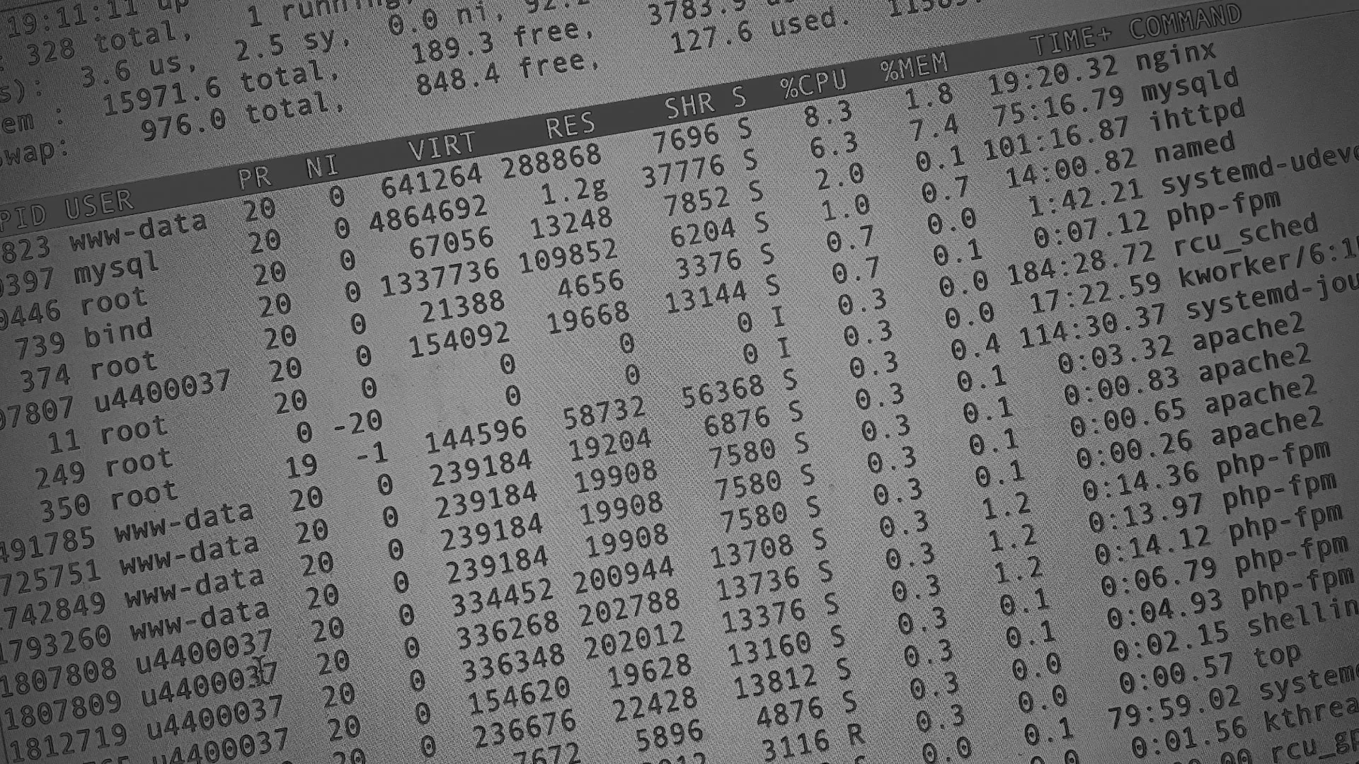 Настройка сервера в Пролетарске