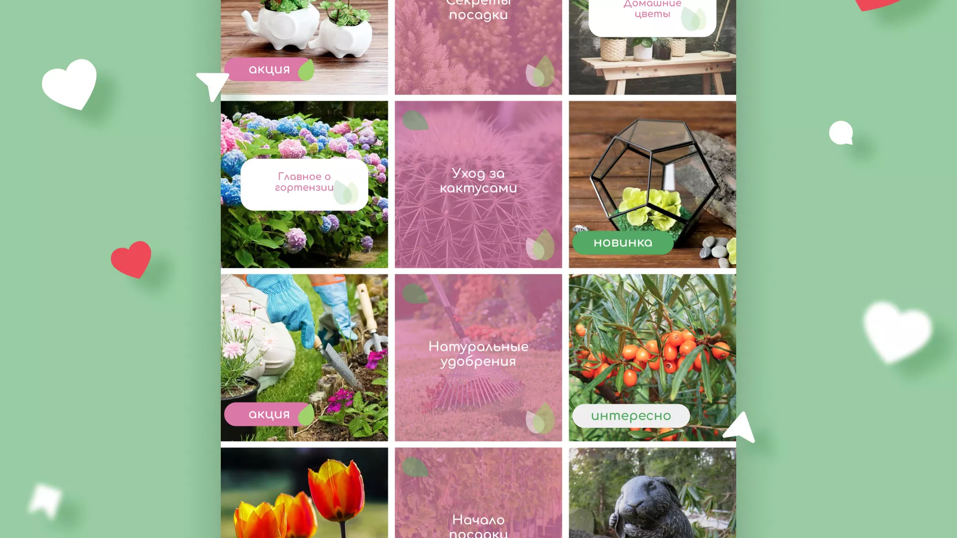 Разработка оформления профиля Instagram для магазина «Floraint» в Пролетарске