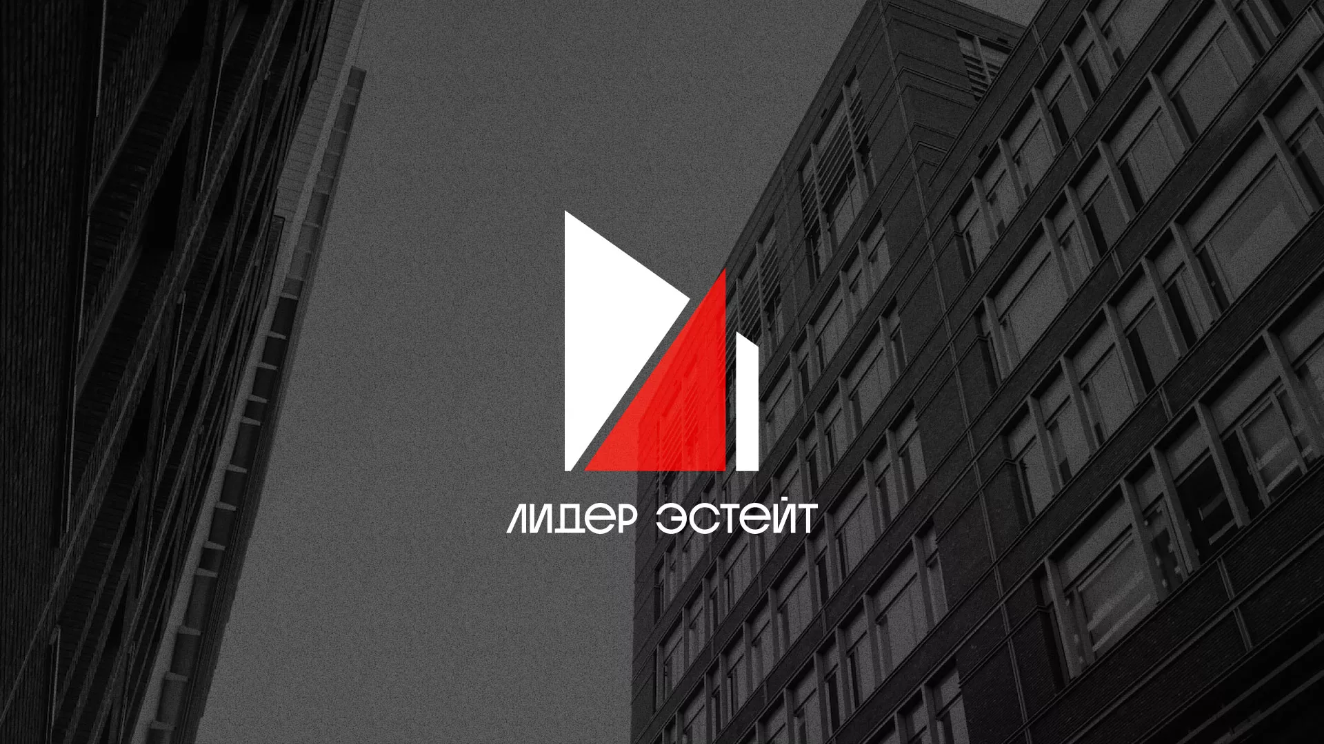 Сделали логотип для агентства недвижимости «Лидер Эстейт» в Пролетарске